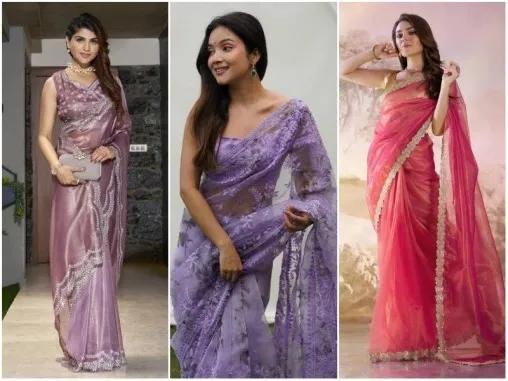 Organza Sarees in 2026: The Ethnic Trend Every Woman Is Falling in Love