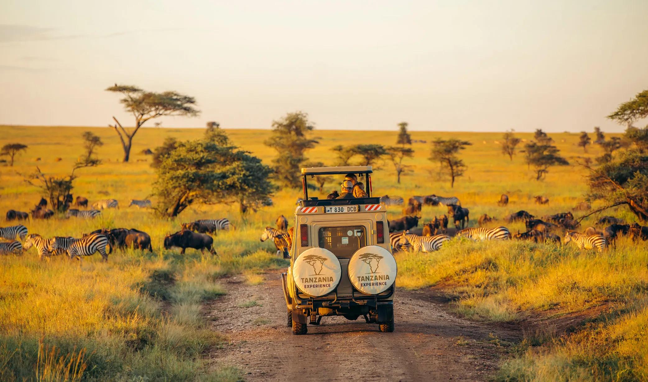 Discover the Best Safari Experiences in East Africa