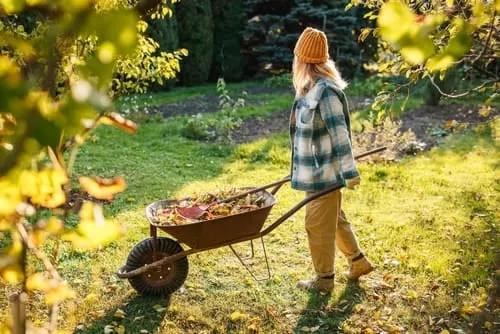 5 of the Most Frustrating Lawn Problems in the UK